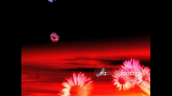 Verses With Animated Flowers 2 898